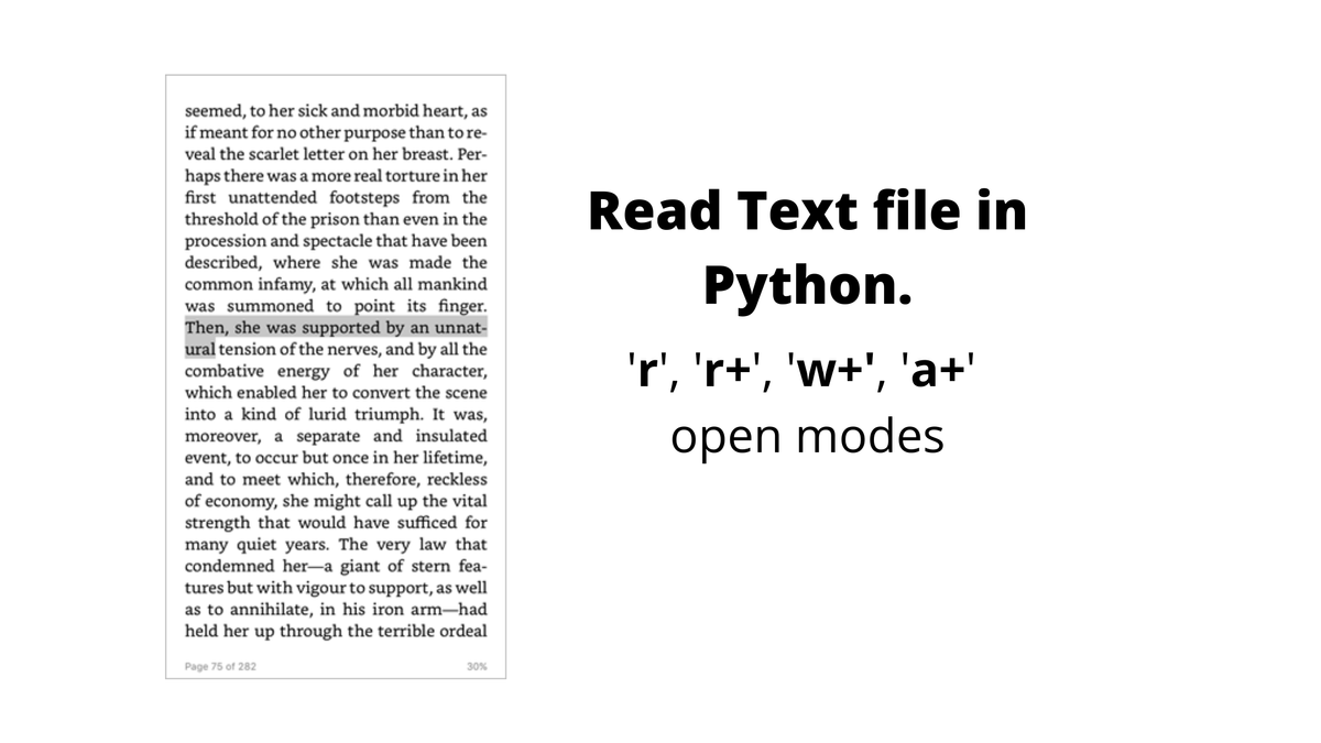 Read File in Python