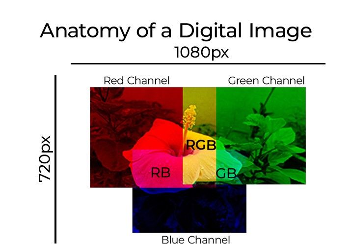 Anatomy of a Digital Image, Basic Concepts.