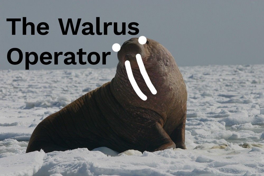 Walrus Operator in Python